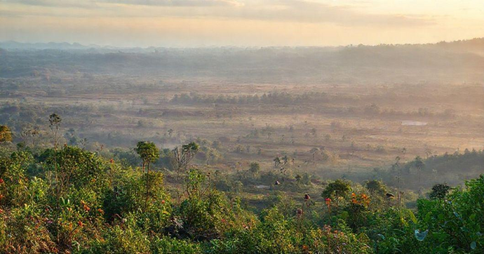 Planos de Recuperação de Áreas Degradadas: Transforme o Meio Ambiente