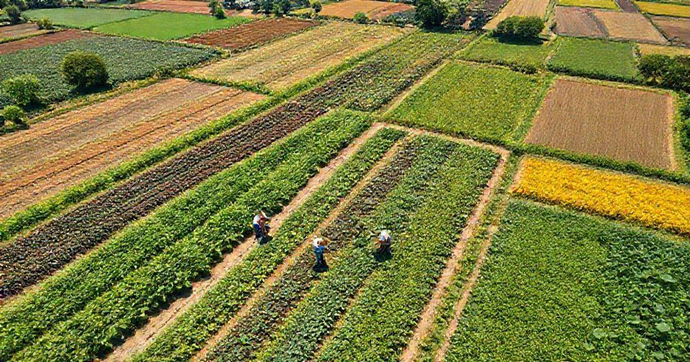 Análise de Solo: Otimize Seus Resultados Agrícolas com Técnicas Eficientes