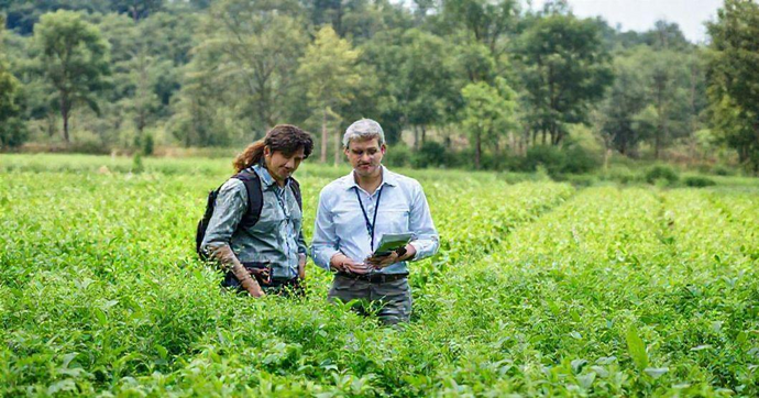 Empresas de Consultoria Ambiental: Soluções Sustentáveis para Negócios