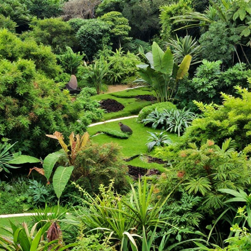 Estratégias Comprovadas para a Recuperação de Áreas Degradadas e Benefícios Ambientais