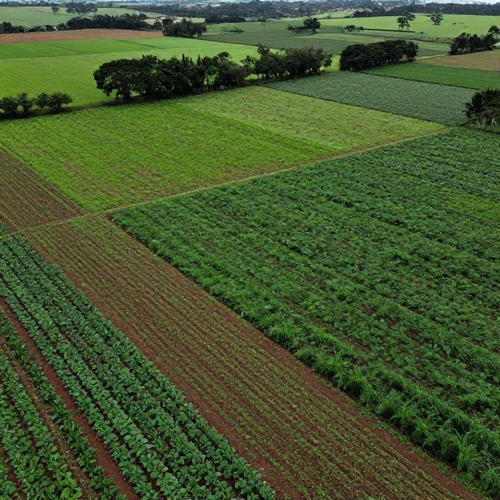 Guia Definitivo de Análise de Solo em São Paulo para Potencializar a Qualidade e Produtividade da Sua Terra