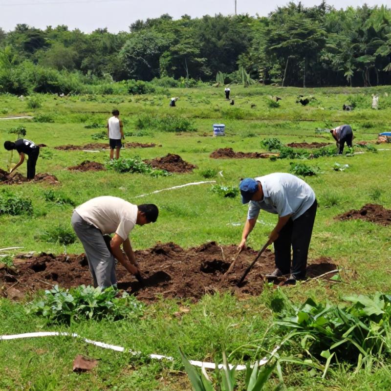 Remediação Ambiental: Soluções Inovadoras Que Transformam Ecossistemas