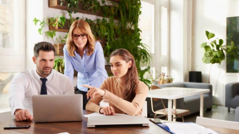 Consultoria e Auditoria Ambiental: Transformando seu Negócio Sustentável