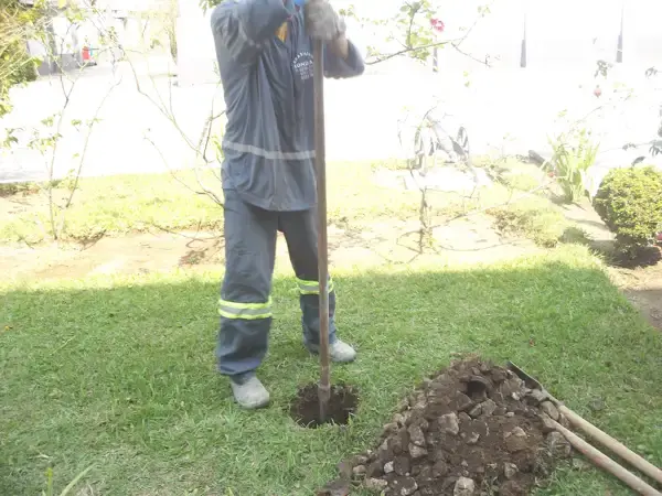 Empresas de remediação ambiental