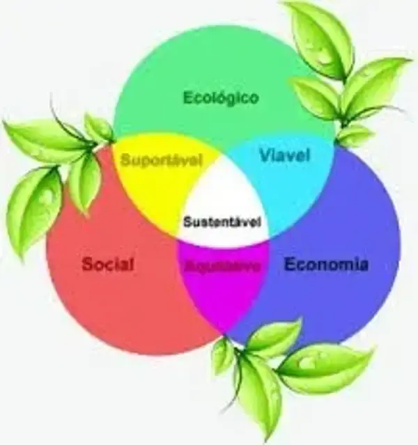 Estudos de impacto ambiental